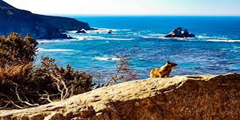 Explore California’s Coast: A 10-Day Road Trip Itinerary